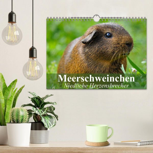 Produktbild: Meerschweinchen Niedliche Herzensbrecher (Wandkalender 2026 DIN A4 quer), CALVENDO Monatskalender