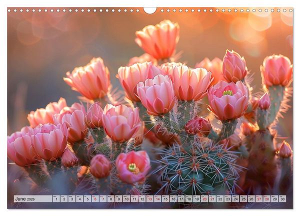 Produktbild: Prickly Cactus Journey (Wall Calendar 2026 DIN A3 landscape), CALVENDO 12 Month Wall Calendar