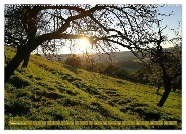 Produktbild: Apfelbaum und Streuobstwiesen (Wandkalender 2026 DIN A2 quer), CALVENDO Monatskalender