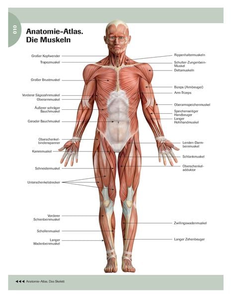 Produktbild: Stretching f&uuml;r Senioren