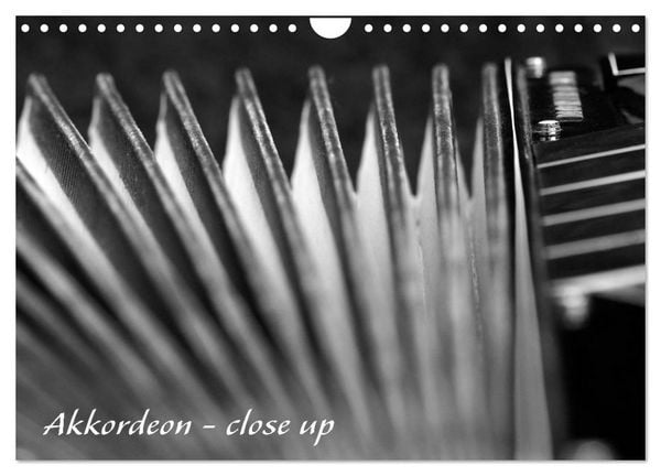 Produktbild: Akkordeon - close up (Wandkalender 2026 DIN A4 quer), CALVENDO Monatskalender