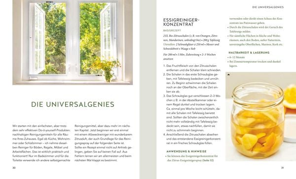Produktbild: Waschmittel, Allzweckreiniger und Co. einfach selbstgemacht