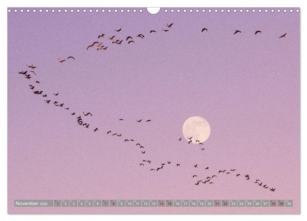 Produktbild: Vollmond - Momente der Ruhe (Wandkalender 2026 DIN A3 quer), CALVENDO Monatskalender