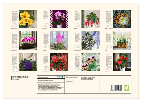 Produktbild: Bl&uuml;tenpracht am Fenster (Wandkalender 2026 DIN A3 quer), CALVENDO Monatskalender