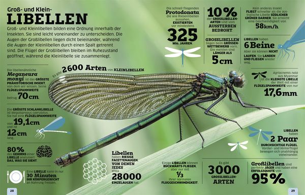 Produktbild: Unsere Welt in Zahlen. Tiere