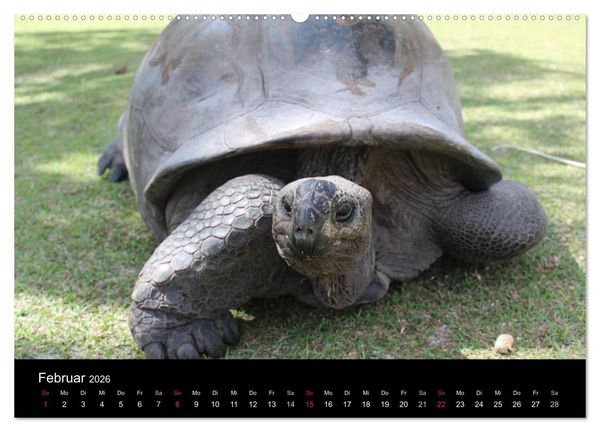 Produktbild: Seychellen (Wandkalender 2026 DIN A2 quer), CALVENDO Monatskalender