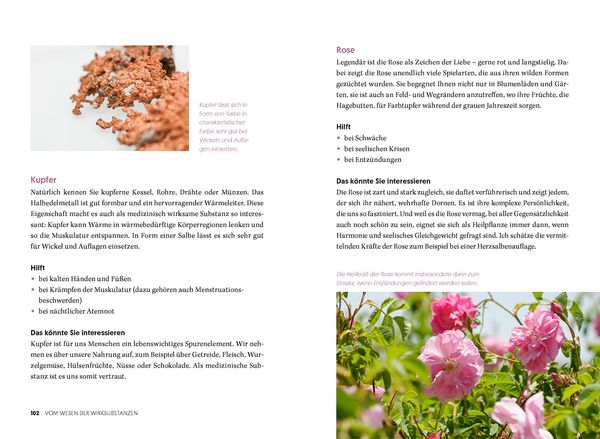 Produktbild: Heilende Wickel