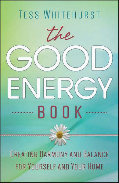 Produktbild: The Good Energy Book