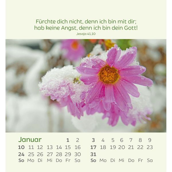 Produktbild: Kleine Blumengr&uuml;&szlig;e 2027