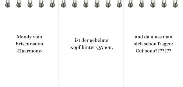 Produktbild: Der Desinformator