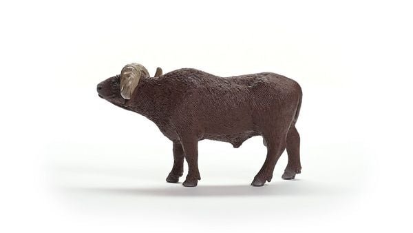 Produktbild: schleich&reg; Wild Life Kaffernb&uuml;ffel 7cm