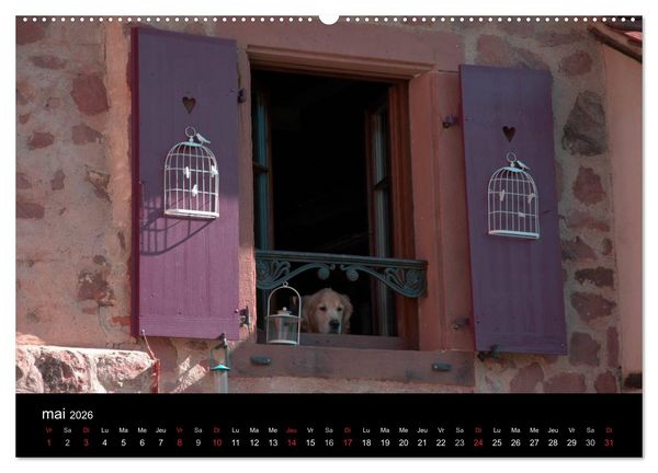 Produktbild: D&eacute;tails d'Alsace (Calendrier mural 2026 DIN A2 vertical) calendrier de bureau