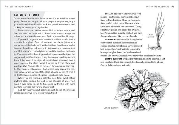 Produktbild: The Natural First Aid Handbook