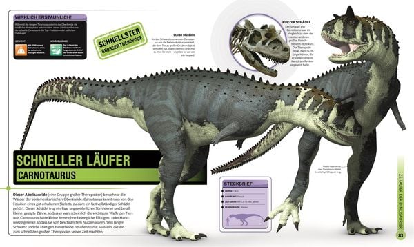 Produktbild: Super-Dinos