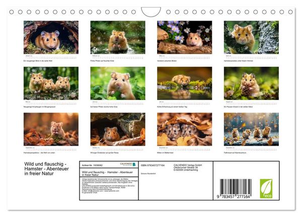 Produktbild: Wild und flauschig - Hamster - Abenteuer in freier Natur (Wandkalender 2026 DIN A4 quer), CALVENDO Monatskalender