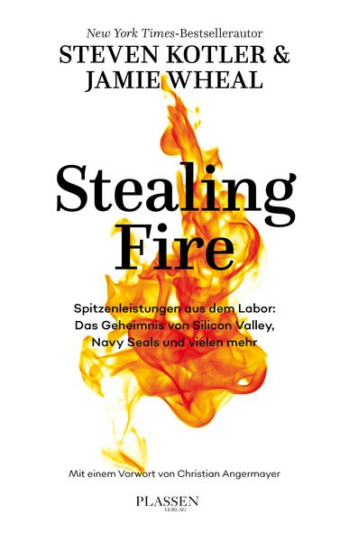 Cover of the book Stealing Fire