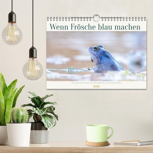 Produktbild: Wenn Fr&ouml;sche blau machen - das geheime Leben der Moorfr&ouml;sche von Tanja Riedel (Wandkalender 2026 DIN A4 quer), CALVENDO Monatskalender