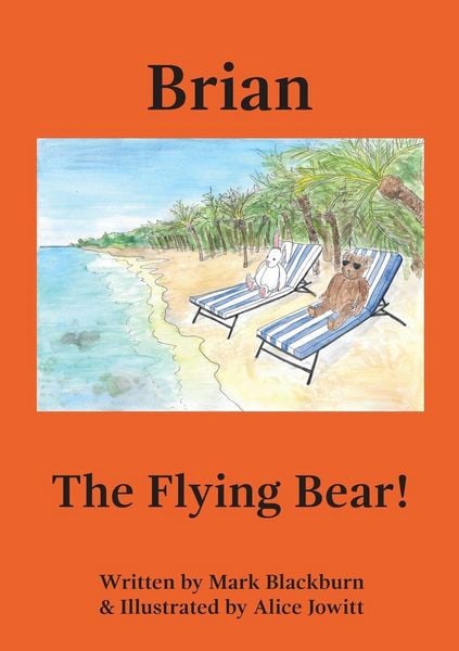 Produktbild: Brian The Flying Bear!