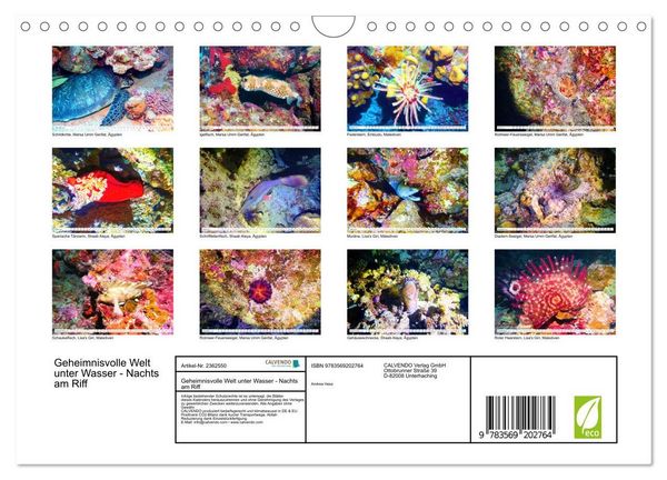 Produktbild: Geheimnisvolle Welt unter Wasser - Nachts am Riff (Wandkalender 2027 DIN A4 quer), CALVENDO Monatskalender