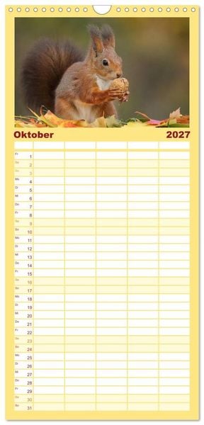 Produktbild: Familienplaner 2027 - Eichh&ouml;rnchen in zauberhaften Posen mit 5 Spalten (Wandkalender, 21 x 45 cm) CALVENDO