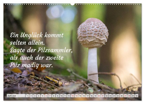 Produktbild: Junge, was hast du`s eilig (hochwertiger Premium Wandkalender 2026 DIN A2 quer), Kunstdruck in Hochglanz