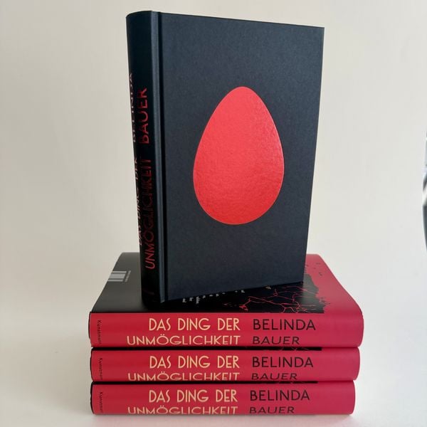 Produktbild: Das Ding der Unm&ouml;glichkeit