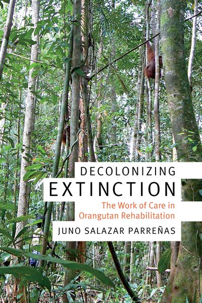 Produktbild: Decolonizing Extinction