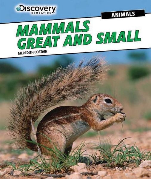 Produktbild: Mammals Great and Small