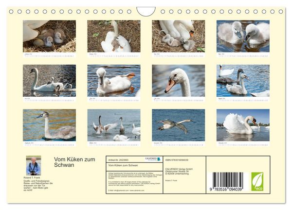 Produktbild: Vom K&uuml;ken zum Schwan (Wandkalender 2026 DIN A4 quer), CALVENDO Monatskalender