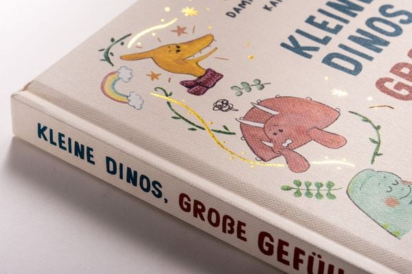 Produktbild: Kleine Dinos - große Gefühle