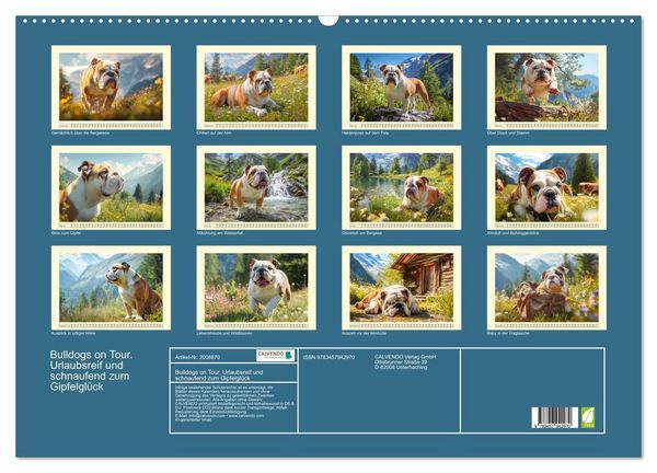 Produktbild: Bulldogs on Tour. Urlaubsreif und schnaufend zum Gipfelgl&uuml;ck (Wandkalender 2026 DIN A2 quer), CALVENDO Monatskalender