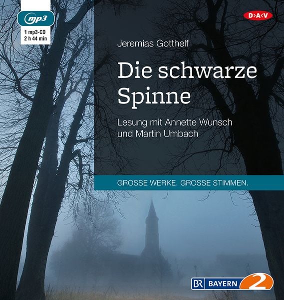 Produktbild: Die schwarze Spinne
