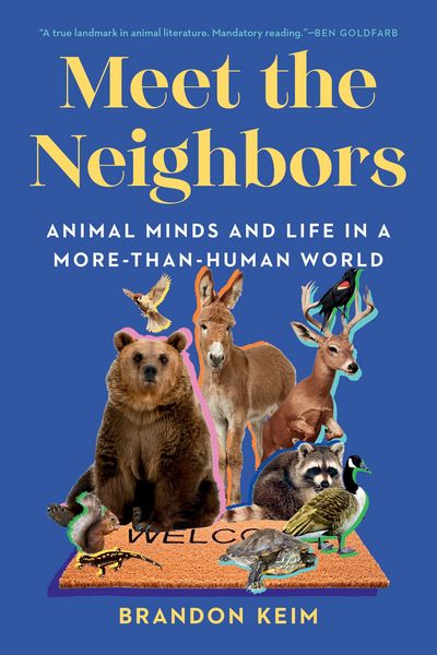 Produktbild: Meet the Neighbors