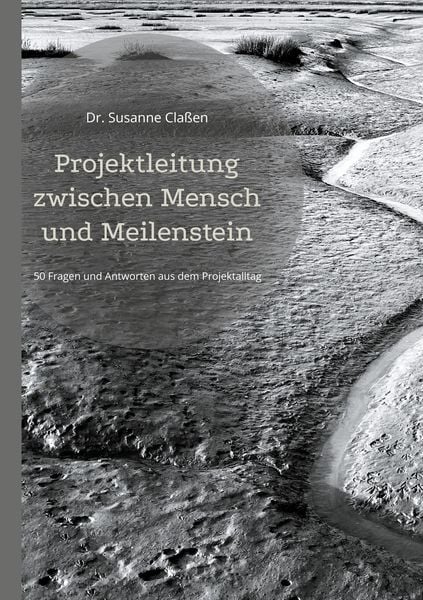 Produktbild: Projektleitung zwischen Mensch und Meilenstein