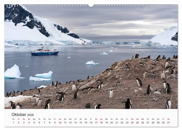 Produktbild: Pinguine - Die sympathischen Frack-Tr&auml;ger (hochwertiger Premium Wandkalender 2026 DIN A2 quer), Kunstdruck in Hochglanz