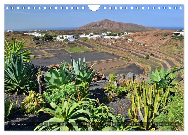 Produktbild: Lanzarote. Wunderwelt der Feuerberge (Wandkalender 2026 DIN A4 quer), CALVENDO Monatskalender