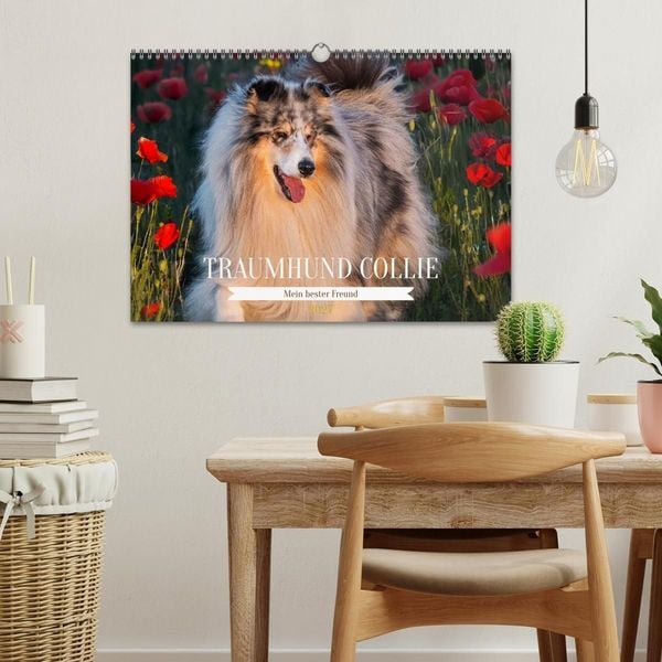 Produktbild: Traumhund Collie - Mein bester Freund (Wandkalender 2027 DIN A3 quer), CALVENDO Monatskalender