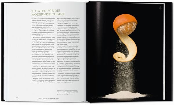 Modernist Cuisine. Die Revolution der Kochkunst
