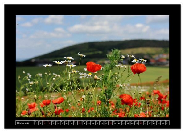 Produktbild: Roter Mohn, bunte Wiesen (Wandkalender 2026 DIN A4 quer), CALVENDO Monatskalender