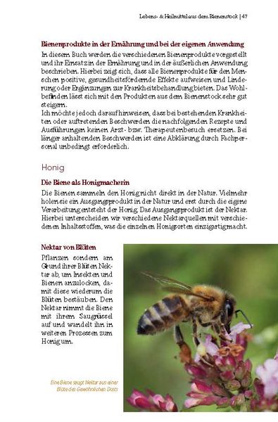 Produktbild: Bienensch&auml;tze &ndash; Honig, Pollen, Propolis & Co.