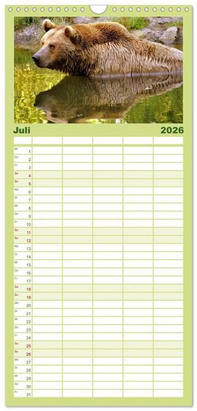 Produktbild: Familienplaner 2026 - Begegnungen DER BRAUNB&Auml;R mit 5 Spalten (Wandkalender, 21 x 45 cm) CALVENDO