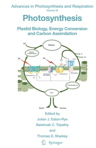 Produktbild: Photosynthesis