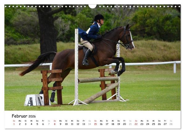 Produktbild: Pony Springreiten (Wandkalender 2026 DIN A3 quer), CALVENDO Monatskalender
