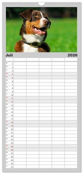 Produktbild: Familienplaner 2026 - Schweizer Sennenhunde - aus den Schweizer Alpen mit 5 Spalten (Wandkalender, 21 x 45 cm) CALVENDO