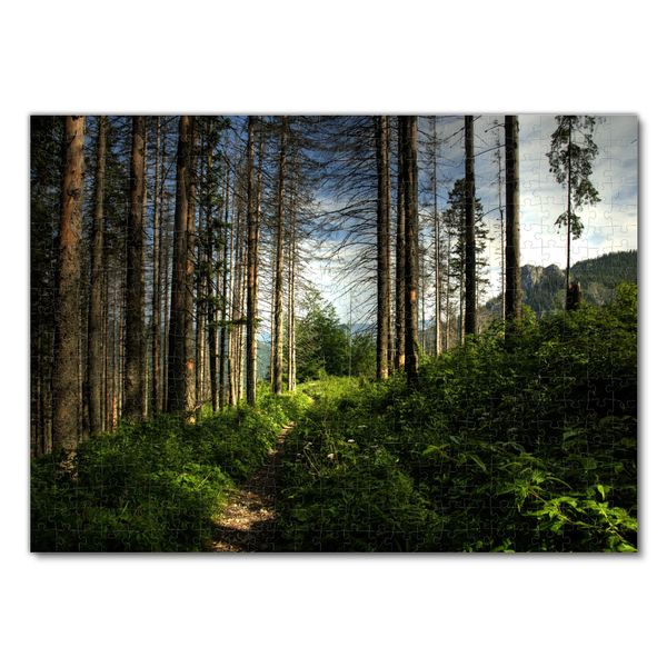 Produktbild: Lais Puzzle Wald 500 Teile