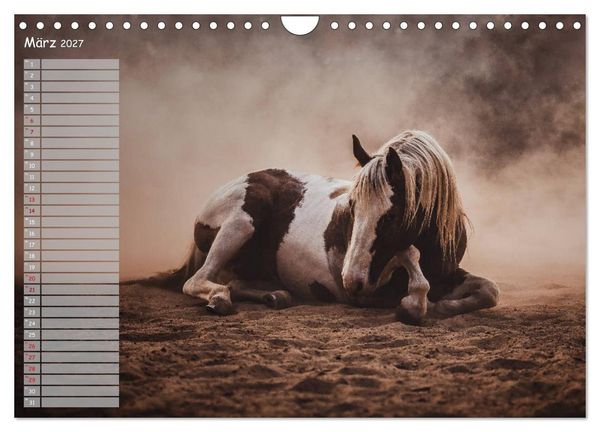 Produktbild: Pferde - Spiegel deiner Seele (Wandkalender 2027 DIN A4 quer), CALVENDO Monatskalender