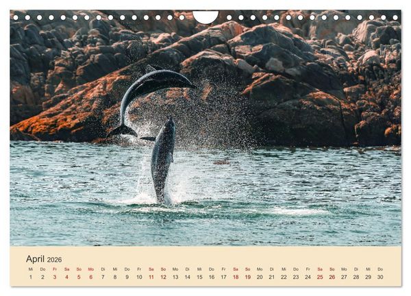 Produktbild: OMAN - Orientperle (Wandkalender 2026 DIN A4 quer), CALVENDO Monatskalender