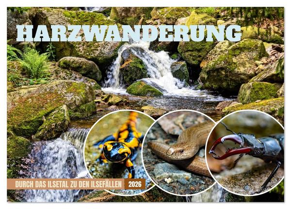 Produktbild: Harzwanderung-Durch das Ilsetal zu den Ilsef&auml;llen (Wandkalender 2026 DIN A4 quer), CALVENDO Monatskalender