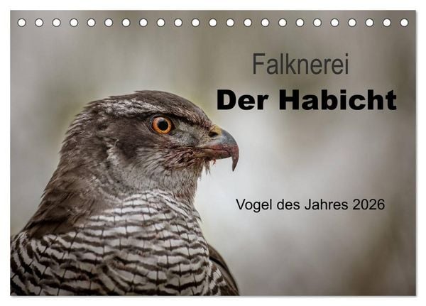 Produktbild: Falknerei Der Habicht (Tischkalender 2026 DIN A5 quer), CALVENDO Monatskalender