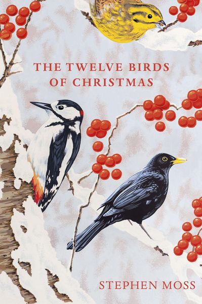 Produktbild: The Twelve Birds of Christmas
